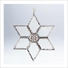 2011 Wishing Star
