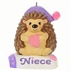 2019 Niece Hedgehog
