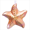 2019 Stunning Starfish