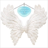 2017 Wings to Fly Encouragement
