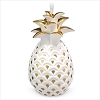 2019 Welcome, Friend Pineapple