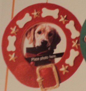 1993 Special Dog Hallmark Keepsake Ornament QX5982