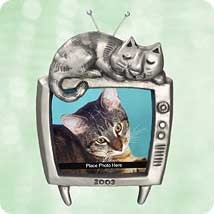 2003 Special Cat Hallmark Keepsake Ornament QXG8609