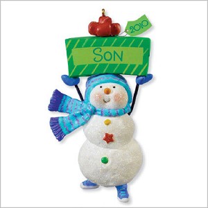 2010 Son - One Fun Son  Hallmark Keepsake Ornament QXG7033