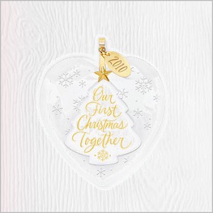 2010 Our First Christmas Glass Heart Hallmark Keepsake Ornament QXG7693