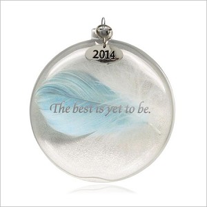 2014 Time to Fly Glass Ball Hallmark Keepsake Ornament QHG1223