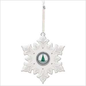2015 Premium Season of Wonder Hallmark Keepsake Ornament QGO1779