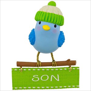 2017 Son Bird Hallmark Keepsake Ornament QGO1092