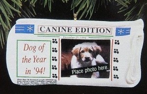 1994 Special Dog Hallmark Keepsake Ornament QX5603
