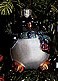 2000 Lil' Roly Poly Penguin *Blown Glass Hallmark Keepsake Ornament QBG4281